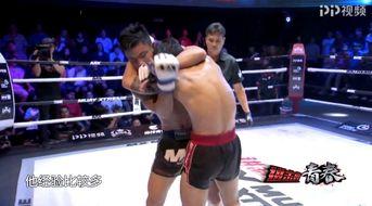 泰拳ko视频,一招制胜的KO瞬间回顾