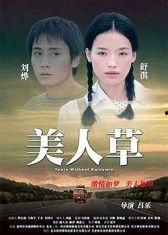 美人草在线播放,穿越时空的美丽传奇，在线播放带你领略