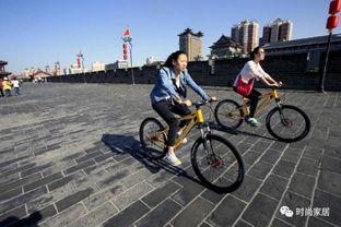 西安自行车爆料视频大全,街头风云，骑行者的真实故事